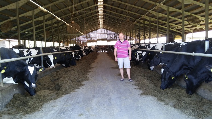 Großer lettischer Milchvieh-Betrieb erntet mit dem JUMBO